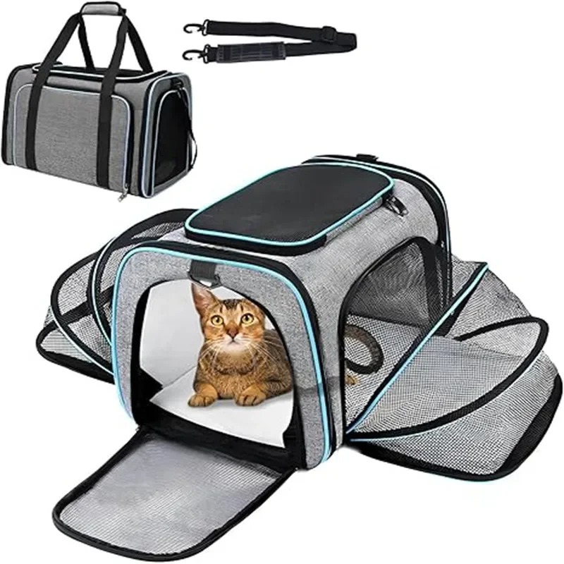 Portable Breathable Foldable P - đánh giá và giá Foldable Backpack Small